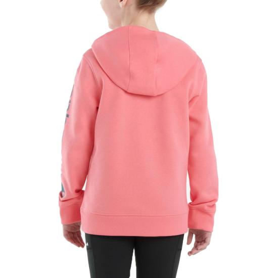 Carhartt Kids Graphic Sweatshirt