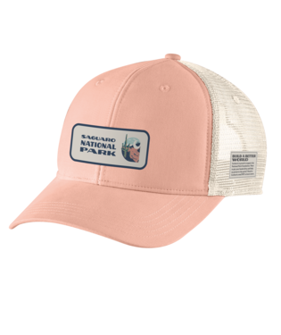 Carhartt Saguaro National Park Patch Cap