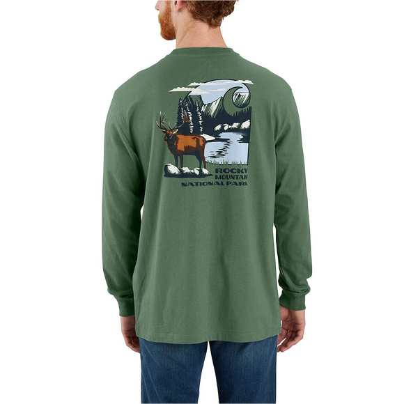 Carhartt Loose Fit Heavyweight Long-Sleeve Rocky Mountain National Park Graphic T-Shirt